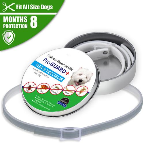 狗狗除跳蚤项圈有用吗,狗狗除蚤项圈怎么戴?-第6张图片-后鲨宠物 狗狗除跳蚤项圈有用吗,狗狗除蚤项圈怎么戴?-第6张图片-后鲨宠物