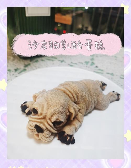 狗狗可以吃芝士蛋糕吗,狗能吃芝士蛋糕会死吗?-第1张图片-后鲨宠物 狗狗可以吃芝士蛋糕吗,狗能吃芝士蛋糕会死吗?-第1张图片-后鲨宠物