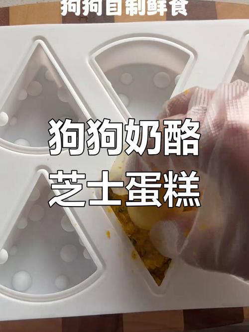 狗狗可以吃芝士蛋糕吗,狗能吃芝士蛋糕会死吗?-第4张图片-后鲨宠物 狗狗可以吃芝士蛋糕吗,狗能吃芝士蛋糕会死吗?-第4张图片-后鲨宠物