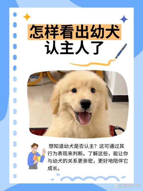 狗狗多久认主人_狗狗多久认主人为主人-第2张图片-后鲨宠物 狗狗多久认主人_狗狗多久认主人为主人-第2张图片-后鲨宠物