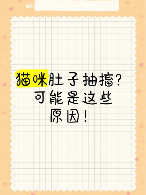 猫咪肚子抽搐怎么回事_猫猫肚子一直抽搐-第1张图片-后鲨宠物 猫咪肚子抽搐怎么回事_猫猫肚子一直抽搐-第1张图片-后鲨宠物
