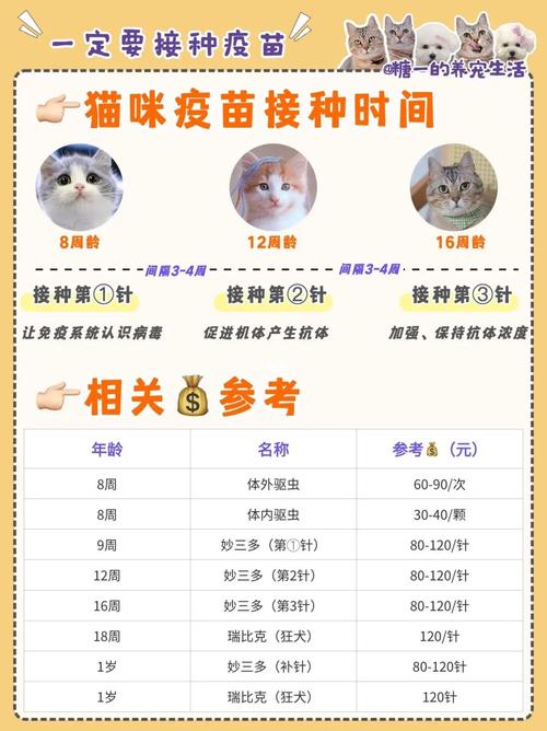 猫咪预防针多少钱一针,猫咪预防针要打几针-第3张图片-后鲨宠物 猫咪预防针多少钱一针,猫咪预防针要打几针-第3张图片-后鲨宠物