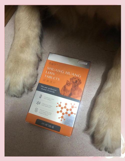 狗狗能吃人吃的药吗，狗狗可以吃人的药品吗？-第4张图片-后鲨宠物