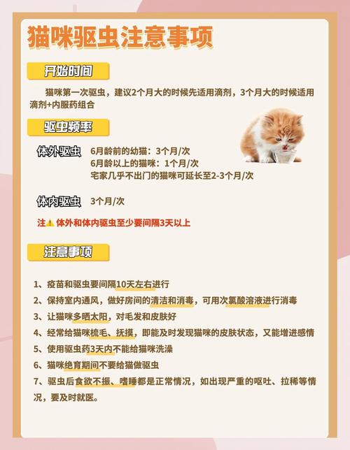 给猫咪喂药片的技巧,给猫喂药教程?-第2张图片-后鲨宠物 给猫咪喂药片的技巧,给猫喂药教程?-第2张图片-后鲨宠物