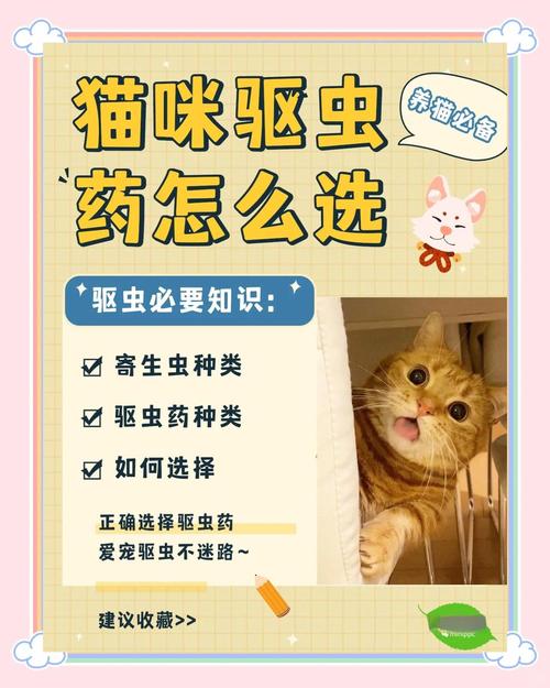 给猫咪喂药片的技巧,给猫喂药教程?-第3张图片-后鲨宠物 给猫咪喂药片的技巧,给猫喂药教程?-第3张图片-后鲨宠物