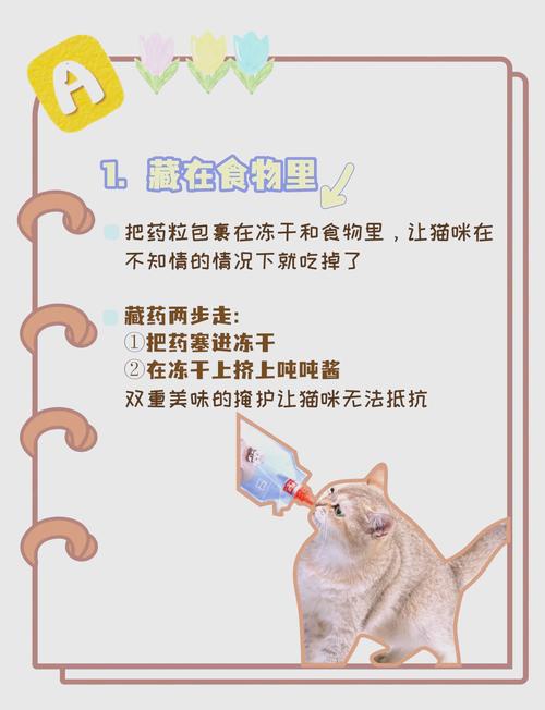 给猫咪喂药片的技巧,给猫喂药教程?-第4张图片-后鲨宠物 给猫咪喂药片的技巧,给猫喂药教程?-第4张图片-后鲨宠物