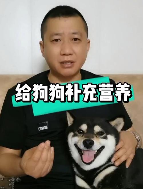  狗狗可以喝旺仔牛奶吗，小狗能吃牛奶吗-第4张图片-后鲨宠物