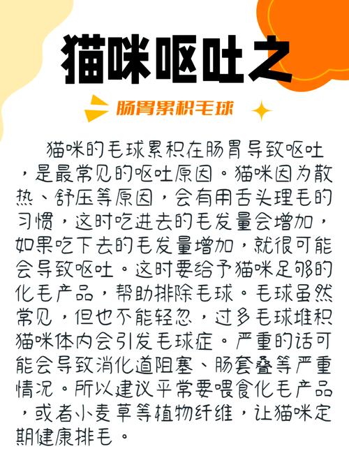 猫猫干呕是什么原因,猫咪干呕的怎么回事-第5张图片-后鲨宠物 猫猫干呕是什么原因,猫咪干呕的怎么回事-第5张图片-后鲨宠物