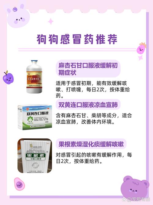 狗狗感冒能吃板蓝根吗_狗狗感冒能吃板蓝根吗?