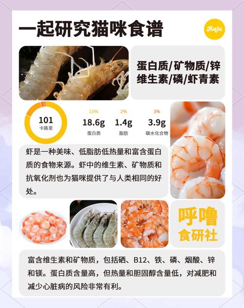 猫咪能不能吃虾_猫咪能不能吃虾皮-第3张图片-后鲨宠物 猫咪能不能吃虾_猫咪能不能吃虾皮-第3张图片-后鲨宠物