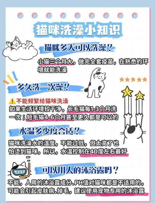 猫咪多大能洗澡,猫咪多大洗澡比较好?-第5张图片-后鲨宠物 猫咪多大能洗澡,猫咪多大洗澡比较好?-第5张图片-后鲨宠物