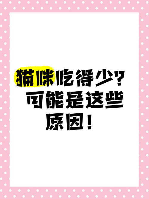 猫咪食量减少怎么回事_猫咪食量少的原因-第3张图片-后鲨宠物 猫咪食量减少怎么回事_猫咪食量少的原因-第3张图片-后鲨宠物