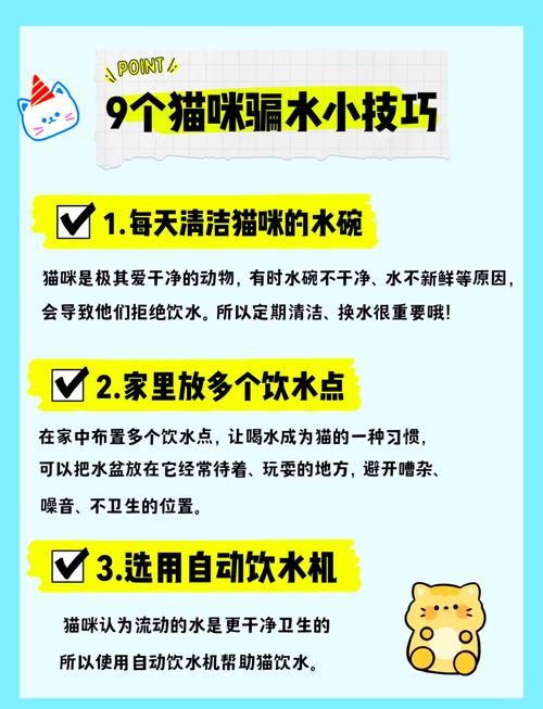怎么让猫咪喝水,怎么让猫咪喝水最有效-第3张图片-后鲨宠物 怎么让猫咪喝水,怎么让猫咪喝水最有效-第3张图片-后鲨宠物