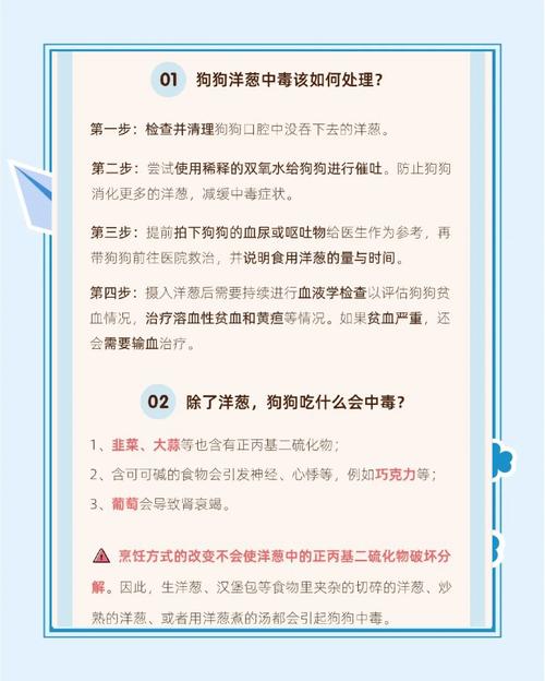 狗狗吃了洋葱怎么办,狗吃了洋葱处理方法?-第2张图片-后鲨宠物 狗狗吃了洋葱怎么办,狗吃了洋葱处理方法?-第2张图片-后鲨宠物