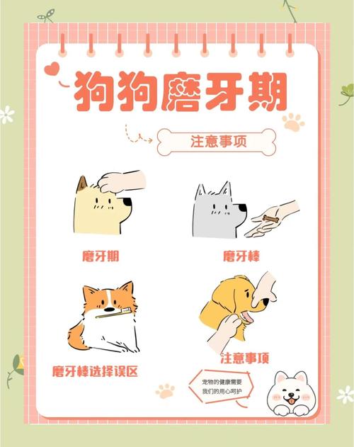 狗狗犬牙磨平多少钱_狗的牙齿磨平了它还会长吗-第2张图片-后鲨宠物