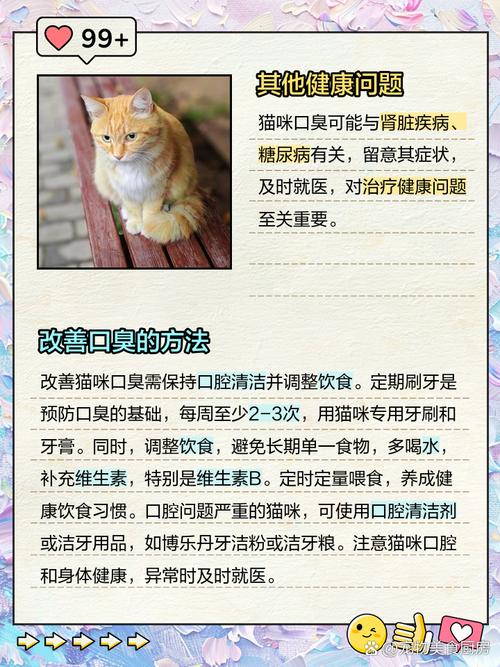 猫咪吃喝正常但就是口臭,猫咪吃喝正常但是流口水-第4张图片-后鲨宠物 猫咪吃喝正常但就是口臭,猫咪吃喝正常但是流口水-第4张图片-后鲨宠物