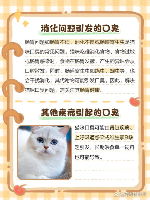 猫咪吃喝正常但就是口臭,猫咪吃喝正常但是流口水-第5张图片-后鲨宠物 猫咪吃喝正常但就是口臭,猫咪吃喝正常但是流口水-第5张图片-后鲨宠物