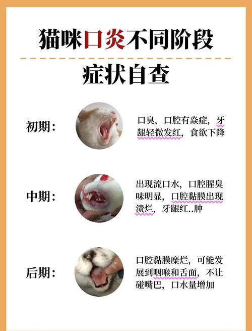 猫咪结膜炎会自愈吗,猫咪结膜炎会自愈吗??-第1张图片-后鲨宠物 猫咪结膜炎会自愈吗,猫咪结膜炎会自愈吗??-第1张图片-后鲨宠物