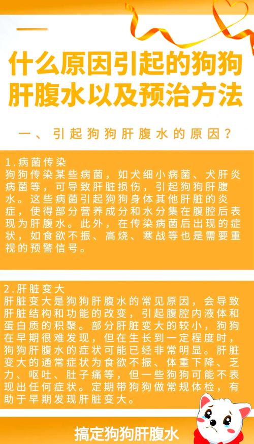  狗狗腹水怎么办，狗狗腹水是什么症状