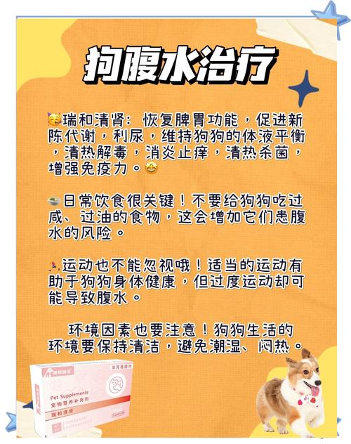 狗狗腹水怎么办,狗狗腹水是什么症状-第2张图片-后鲨宠物 狗狗腹水怎么办,狗狗腹水是什么症状-第2张图片-后鲨宠物