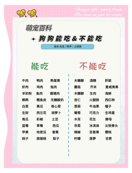 狗狗可以吃油麦菜吗,狗狗能吃的20种蔬菜-第2张图片-后鲨宠物 狗狗可以吃油麦菜吗,狗狗能吃的20种蔬菜-第2张图片-后鲨宠物