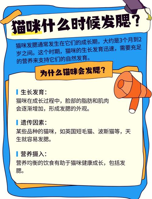 怎样让猫咪发腮_怎样让家猫发腮-第1张图片-后鲨宠物 怎样让猫咪发腮_怎样让家猫发腮-第1张图片-后鲨宠物