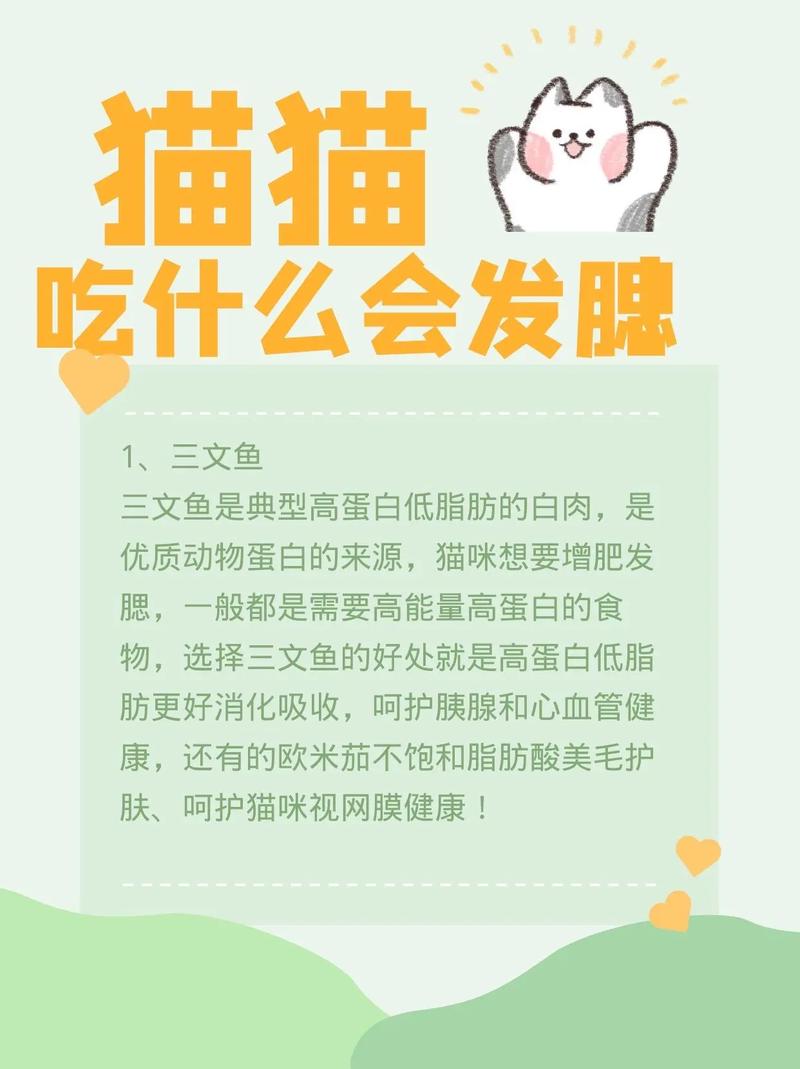 怎样让猫咪发腮_怎样让家猫发腮-第2张图片-后鲨宠物 怎样让猫咪发腮_怎样让家猫发腮-第2张图片-后鲨宠物