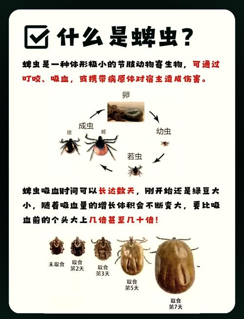 狗狗被蜱虫咬了怎么办,狗狗被蜱虫咬了怎么办图片?-第2张图片-后鲨宠物 狗狗被蜱虫咬了怎么办,狗狗被蜱虫咬了怎么办图片?-第2张图片-后鲨宠物