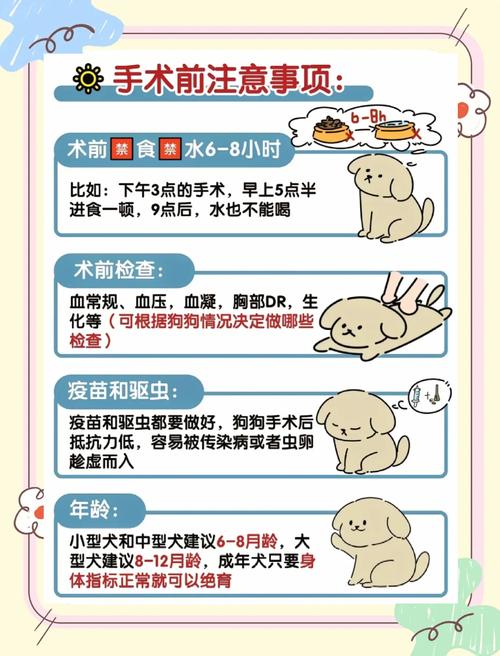 狗狗绝育后需要注意什么,狗狗绝育需要注意什么??-第2张图片-后鲨宠物 狗狗绝育后需要注意什么,狗狗绝育需要注意什么??-第2张图片-后鲨宠物