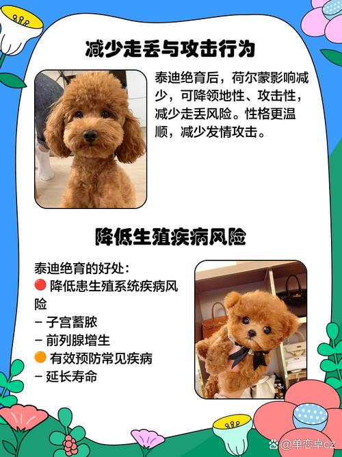 狗狗绝育后需要注意什么,狗狗绝育需要注意什么??-第3张图片-后鲨宠物 狗狗绝育后需要注意什么,狗狗绝育需要注意什么??-第3张图片-后鲨宠物