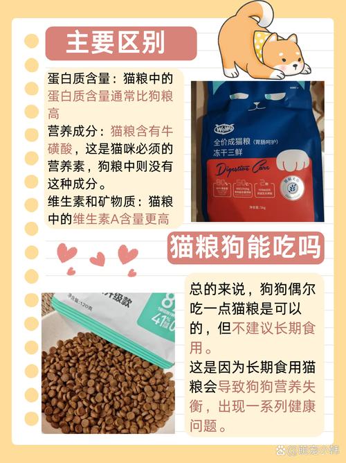 狗狗可以吃猫粮吗,狗狗可以吃猫粮吗有什么危害-第1张图片-后鲨宠物 狗狗可以吃猫粮吗,狗狗可以吃猫粮吗有什么危害-第1张图片-后鲨宠物
