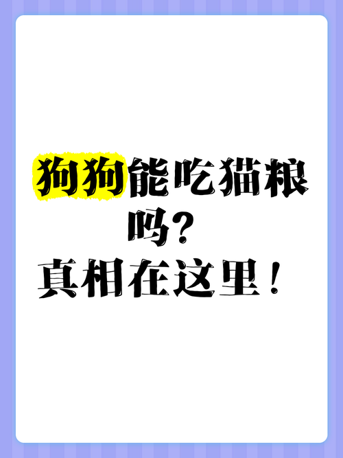 狗狗可以吃猫粮吗,狗狗可以吃猫粮吗有什么危害-第5张图片-后鲨宠物 狗狗可以吃猫粮吗,狗狗可以吃猫粮吗有什么危害-第5张图片-后鲨宠物