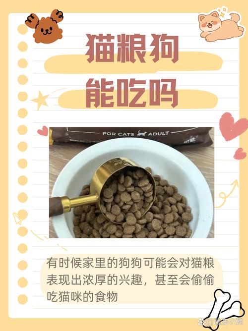 狗狗可以吃猫粮吗,狗狗可以吃猫粮吗有什么危害-第6张图片-后鲨宠物 狗狗可以吃猫粮吗,狗狗可以吃猫粮吗有什么危害-第6张图片-后鲨宠物