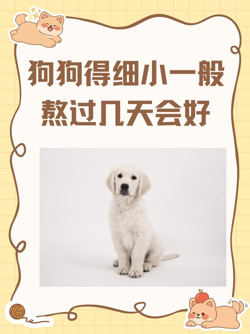  狗狗得了细小能活多久，狗狗得了细小可以活多久