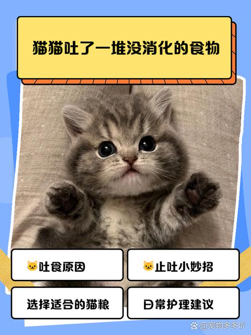 猫猫可以吃玉米吗,猫猫可以吃玉米吗熟的?-第2张图片-后鲨宠物 猫猫可以吃玉米吗,猫猫可以吃玉米吗熟的?-第2张图片-后鲨宠物