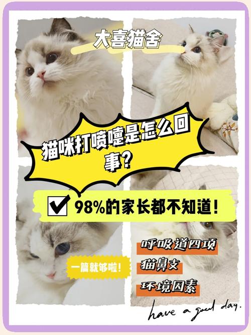 猫咪打喷嚏是怎么回事,猫咪打喷嚏是怎么回事?-第6张图片-后鲨宠物 猫咪打喷嚏是怎么回事,猫咪打喷嚏是怎么回事?-第6张图片-后鲨宠物