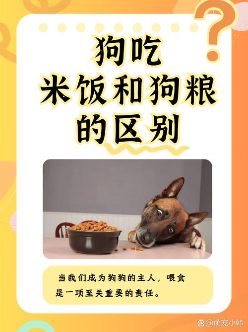狗狗能吃米饭掺狗粮吗_狗狗能不能吃米饭拌狗粮-第1张图片-后鲨宠物 狗狗能吃米饭掺狗粮吗_狗狗能不能吃米饭拌狗粮-第1张图片-后鲨宠物