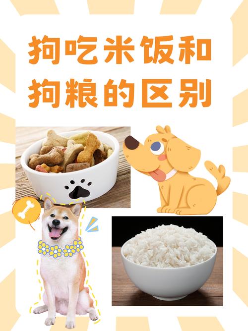 狗狗能吃米饭掺狗粮吗_狗狗能不能吃米饭拌狗粮-第6张图片-后鲨宠物 狗狗能吃米饭掺狗粮吗_狗狗能不能吃米饭拌狗粮-第6张图片-后鲨宠物