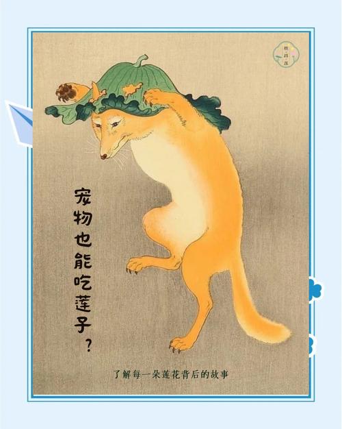 狗狗可以吃藕吗_狗狗能吃莲藕么-第2张图片-后鲨宠物 狗狗可以吃藕吗_狗狗能吃莲藕么-第2张图片-后鲨宠物