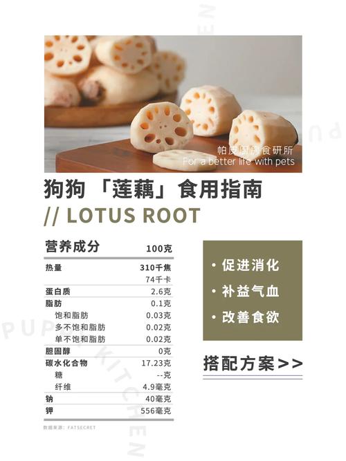 狗狗可以吃藕吗_狗狗能吃莲藕么-第4张图片-后鲨宠物 狗狗可以吃藕吗_狗狗能吃莲藕么-第4张图片-后鲨宠物