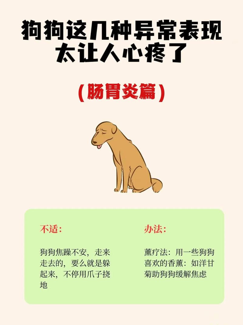 狗狗肠胃不舒服的表现_狗狗肠胃不舒服该怎么办?
