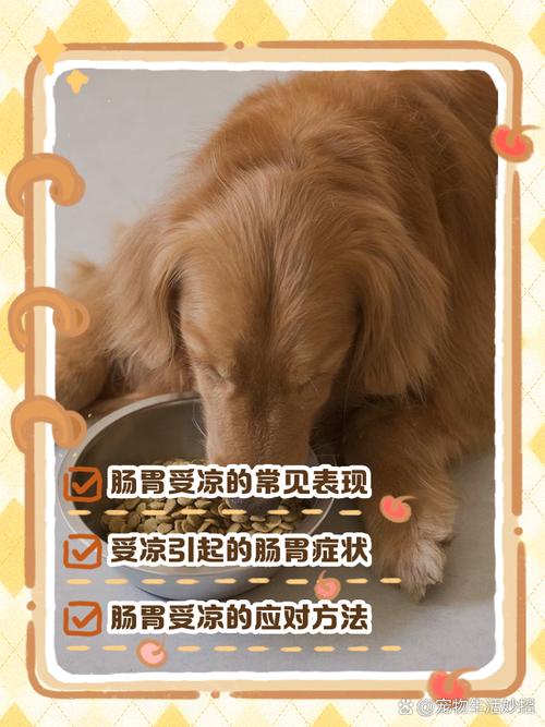 狗狗肠胃不舒服的表现_狗狗肠胃不舒服该怎么办?-第2张图片-后鲨宠物
