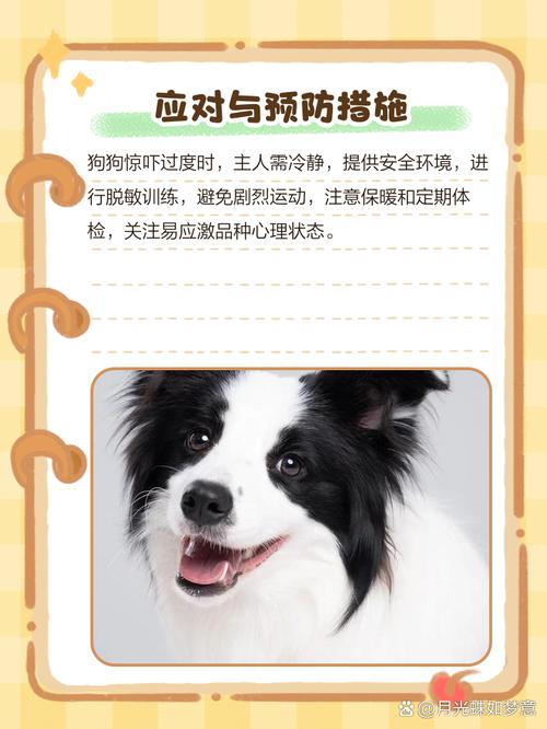 怎么判断狗狗受惊吓了_狗狗受到惊吓该怎么办-第3张图片-后鲨宠物 怎么判断狗狗受惊吓了_狗狗受到惊吓该怎么办-第3张图片-后鲨宠物