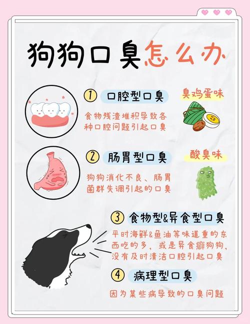 狗狗吃什么除口臭,狗狗吃什么除口臭污垢?-第2张图片-后鲨宠物 狗狗吃什么除口臭,狗狗吃什么除口臭污垢?-第2张图片-后鲨宠物