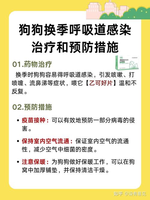 狗狗呼吸道感染怎么办_狗狗呼吸道感染用什么药好-第1张图片-后鲨宠物
