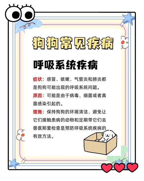狗狗呼吸道感染怎么办_狗狗呼吸道感染用什么药好-第2张图片-后鲨宠物