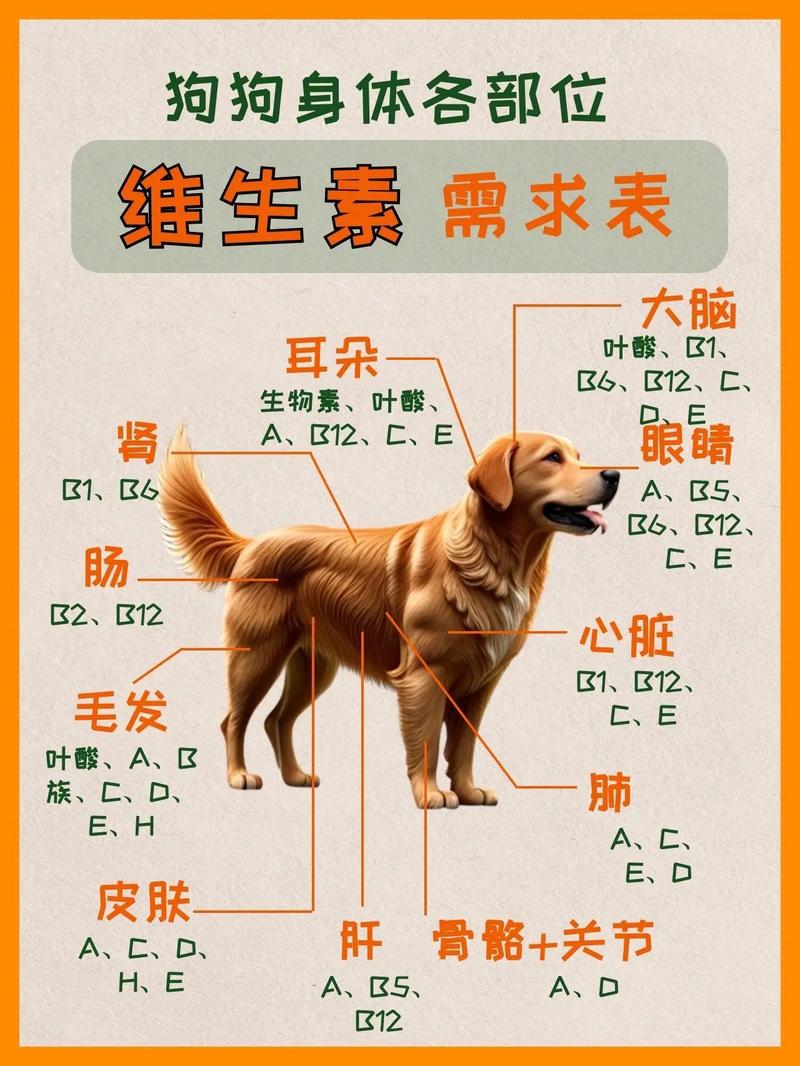 狗狗吃微量元素需要吃多久，狗吃微量元素多久见效？
