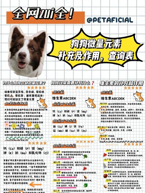 狗狗吃微量元素需要吃多久,狗吃微量元素多久见效?-第6张图片-后鲨宠物 狗狗吃微量元素需要吃多久,狗吃微量元素多久见效?-第6张图片-后鲨宠物