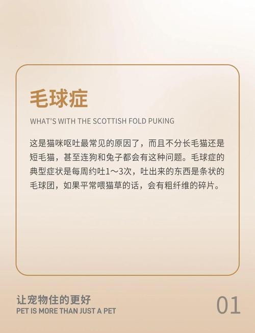 猫咪吐了怎么办,猫咪吐了怎么办吃什么药?-第4张图片-后鲨宠物 猫咪吐了怎么办,猫咪吐了怎么办吃什么药?-第4张图片-后鲨宠物