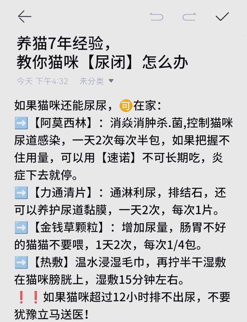 猫咪不排尿怎么办_公猫尿闭怎么刺激排尿-第1张图片-后鲨宠物 猫咪不排尿怎么办_公猫尿闭怎么刺激排尿-第1张图片-后鲨宠物